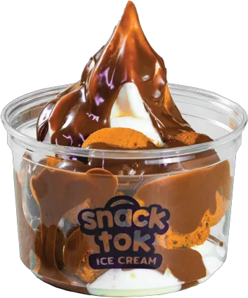 Snacktok Ice Cream